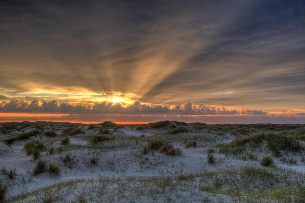 Вилла Zeelucht Texel Де-Коог Экстерьер фото